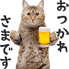 real cats meme/Alcohol: Beer