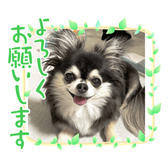 junko_20240804144310