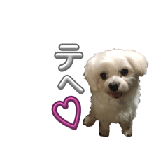 tarin_20240804153730