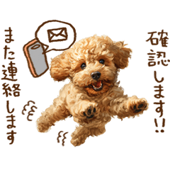 Cute Pup | Toy poodle