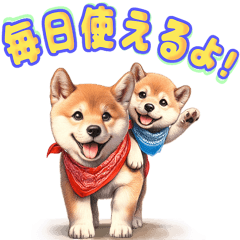 Shiba Inu Stickers Together Every Day