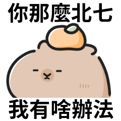 Cute Capybara stickers !!