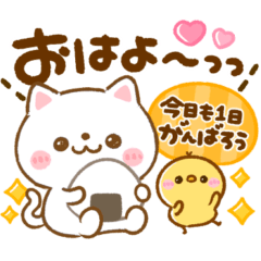 毎日使える♡ねこねこにゃんこ