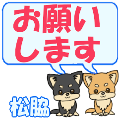 Matsuwaki's letters Chihuahua2