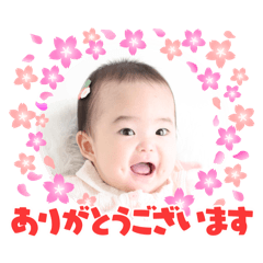rihochanstampu