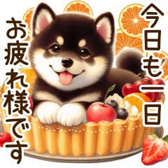 Shiba Inu and various foods