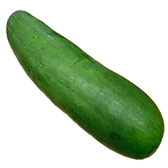 Food Series : Some Cucumber #7