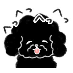 The peaceful days of a black toy poodle