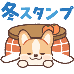 Pop up! Corgi Contact Sticker(Winter)