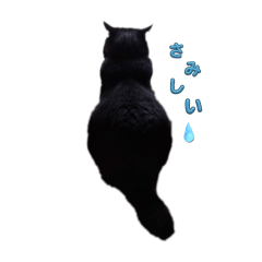 abcdefg_20240805153833