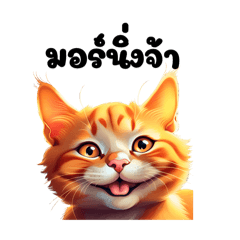 A sincere orange cat