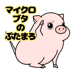 Micro PIG sticker