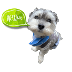nacky's sticker