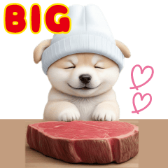 cute dogs Gourmet big sticker