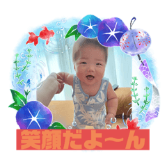 tomo.ba_ba_20240806125333