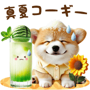Midsummer corgi
