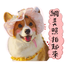 Yuki 幼齒的公主日常