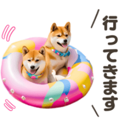 cute twin dogs(shiba)s summer