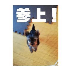 seatan_20240806180939