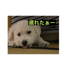 syo_20240806205532