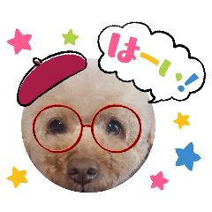 Mayumi.Kuyama_20240806231140