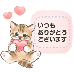 Cute Cat Stickers (Free message)