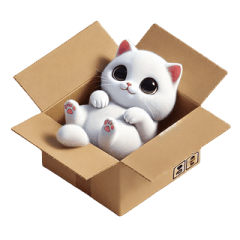 A white cat in the cardboard box2