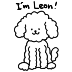 I am Leon fluffy 1