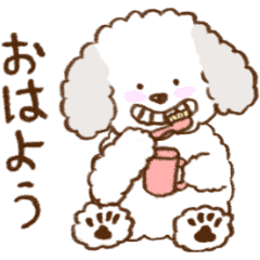 Cute Puppy | Toy poodle | Animation