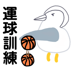 Y-xie_Penguins basketball team