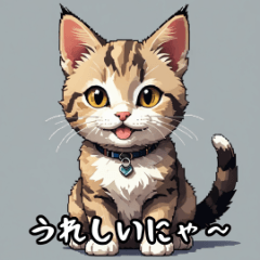 Cute Cat Expressions Collection