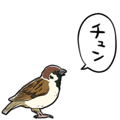 talking sparrow for people