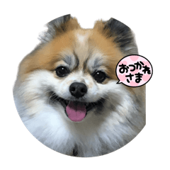 私だけme