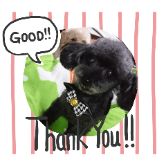 Mayumi.Kuyama_20240807214746