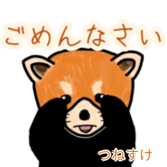 Tsunesuke's lesser panda