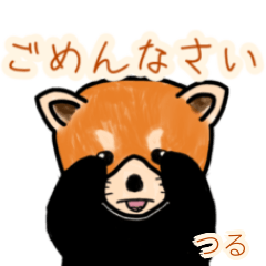 Tsuru's lesser panda