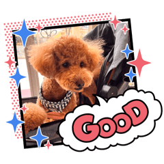Yayoi_20240807221420