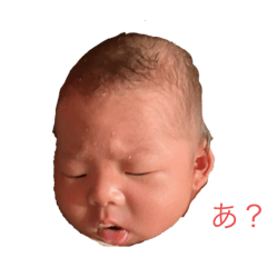 yumu_20240808022433