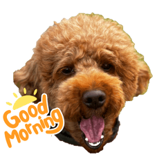 namman_20240807221947