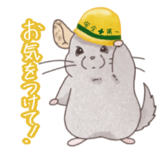 chinchilla life sticker