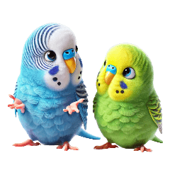 Happy Budgie P and Q Expressions 3