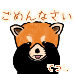 Tetsushi's lesser panda