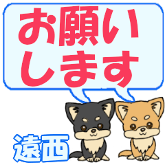 Toonishi's letters Chihuahua2