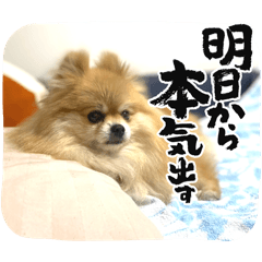 tonton_20240808210314