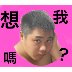 肥EN日常