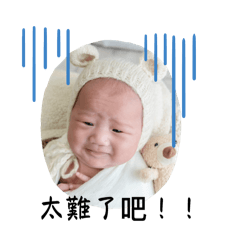 真性情的小白蛋