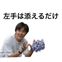 minorin_20240809002908