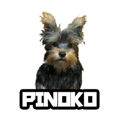 PINOKO vol.1