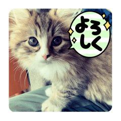タビとビビ①