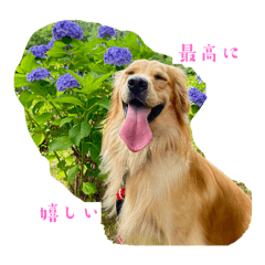 hibiwotumugu_20240808225649